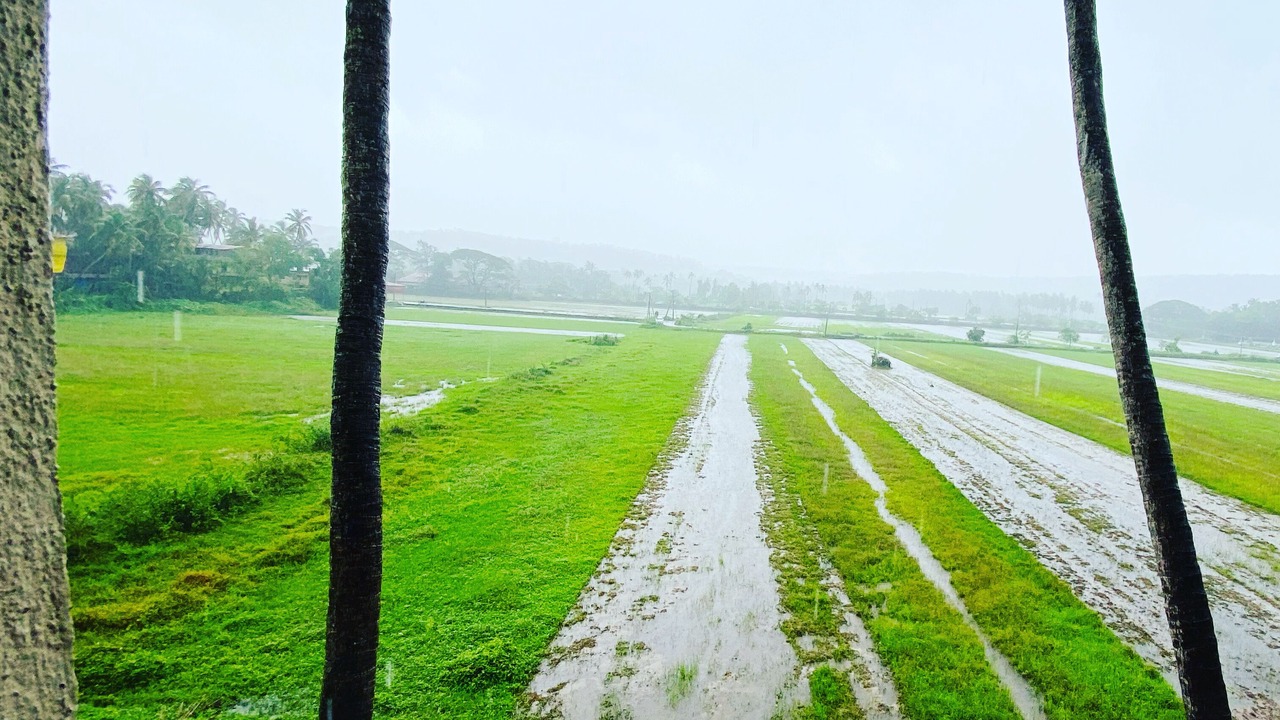 Photo of Others in Saligao