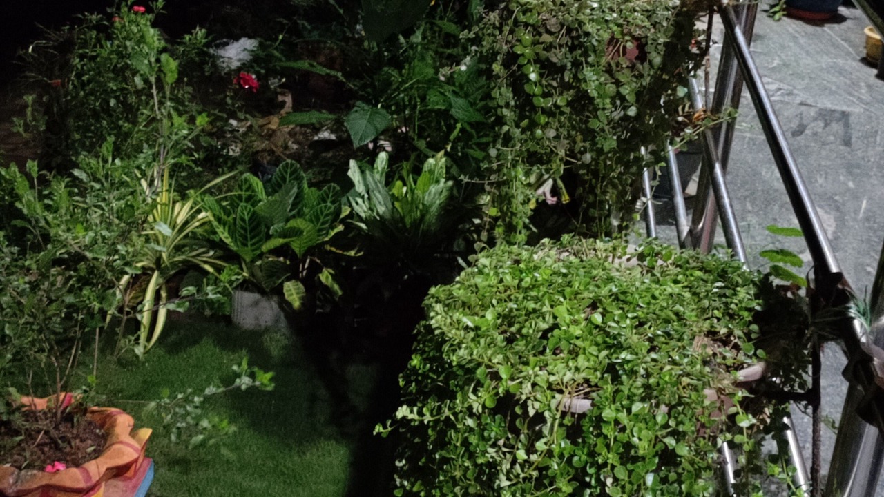 Photo of Outdoor in Yellapur