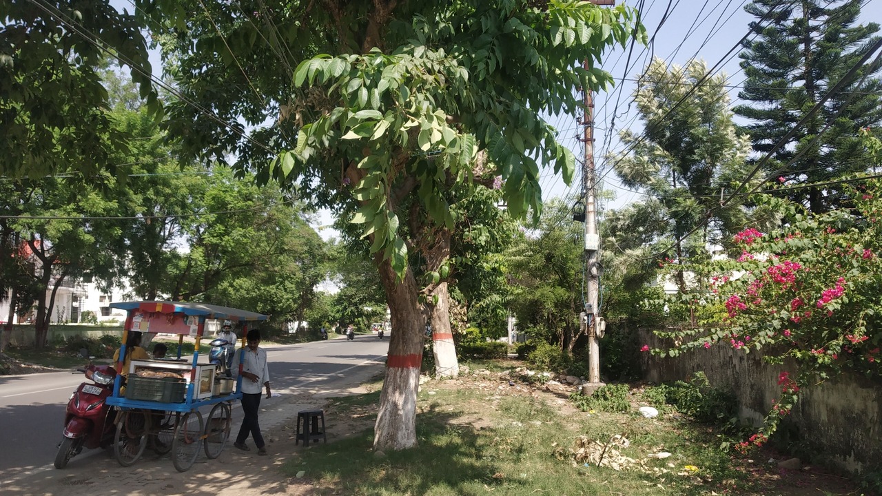 Photo of Outdoor in Bullawala