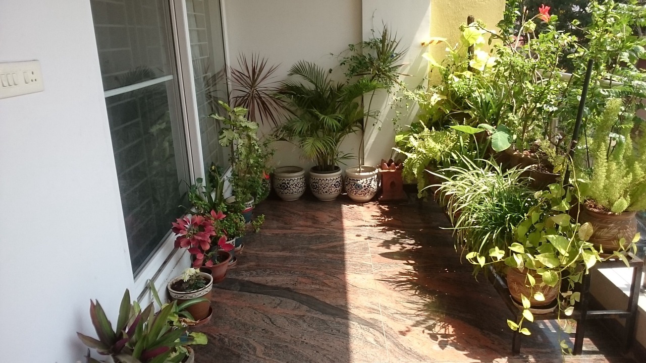 Photo of Patio Balcony in Indiranagar