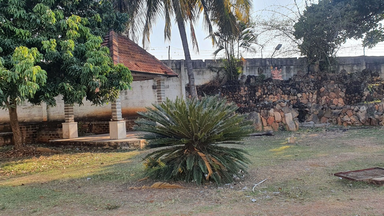 Photo of Outdoor in Manchanabele