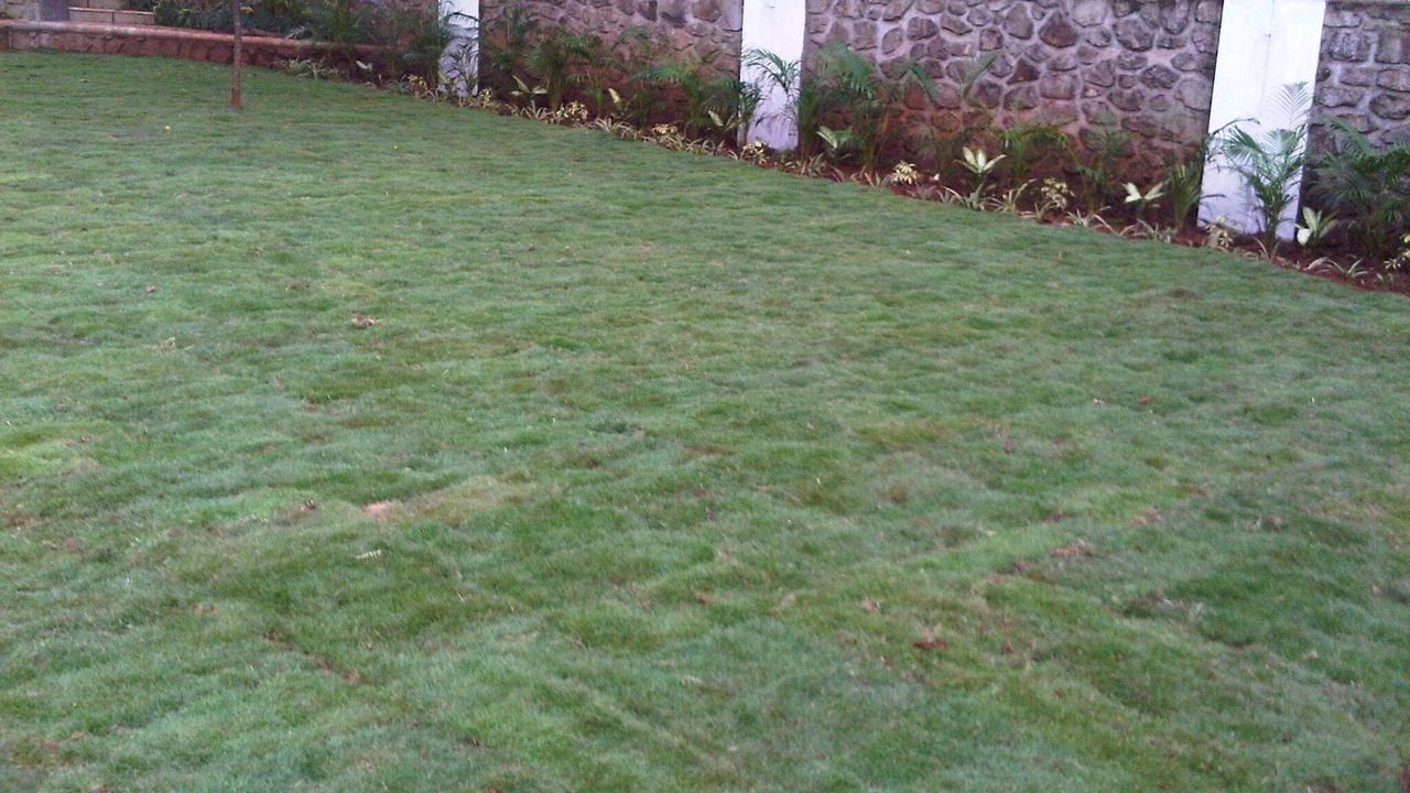 Photo of Outdoor in Kune N.m.