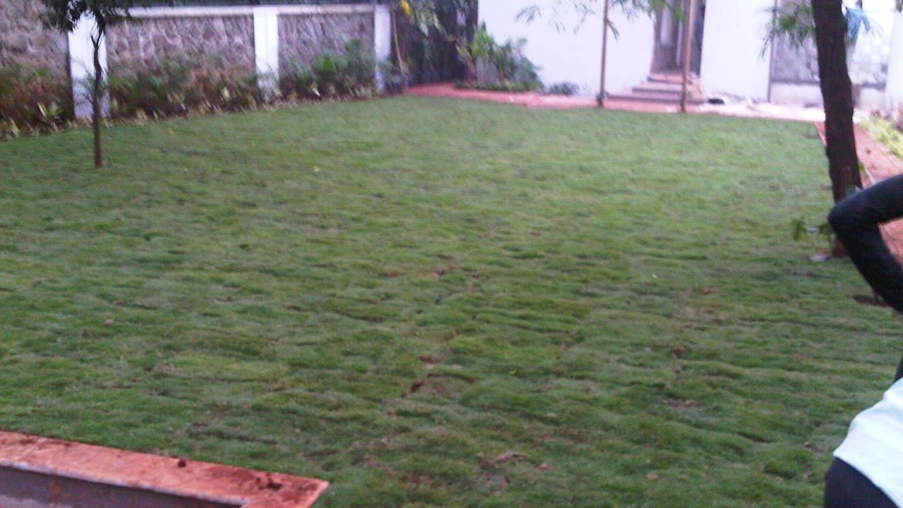Photo of Outdoor in Kune N.m.