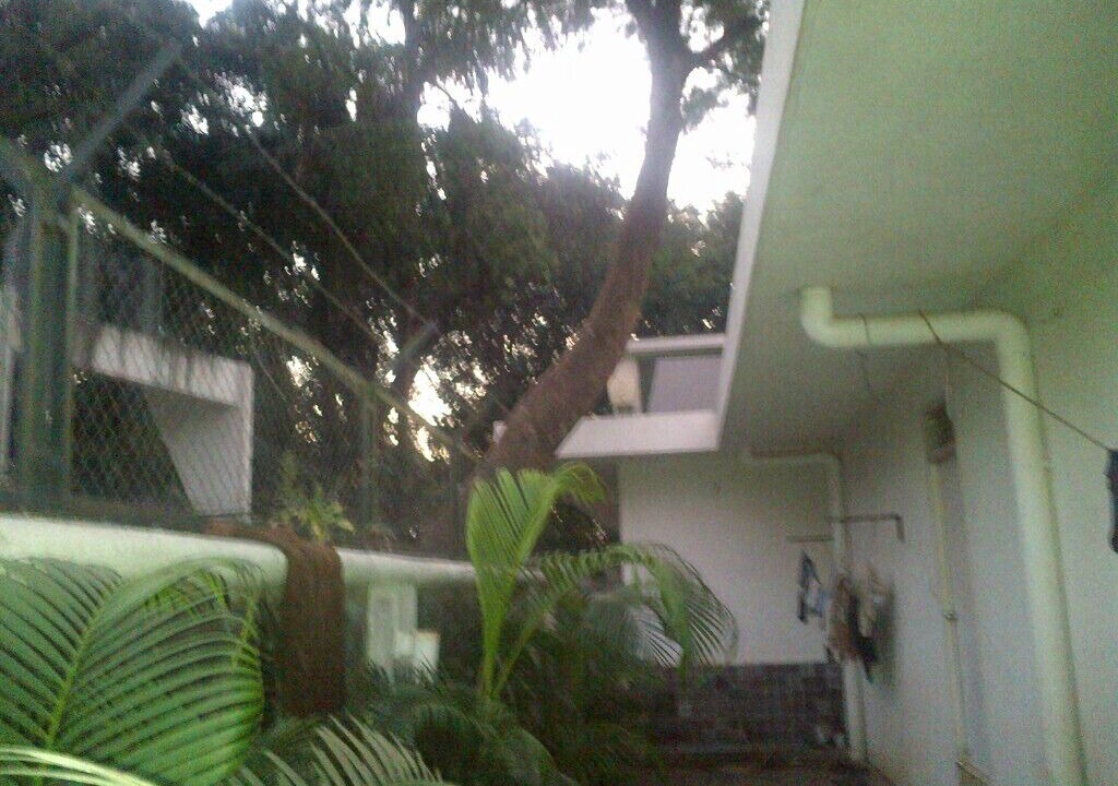Photo of Outdoor in Kune N.m.