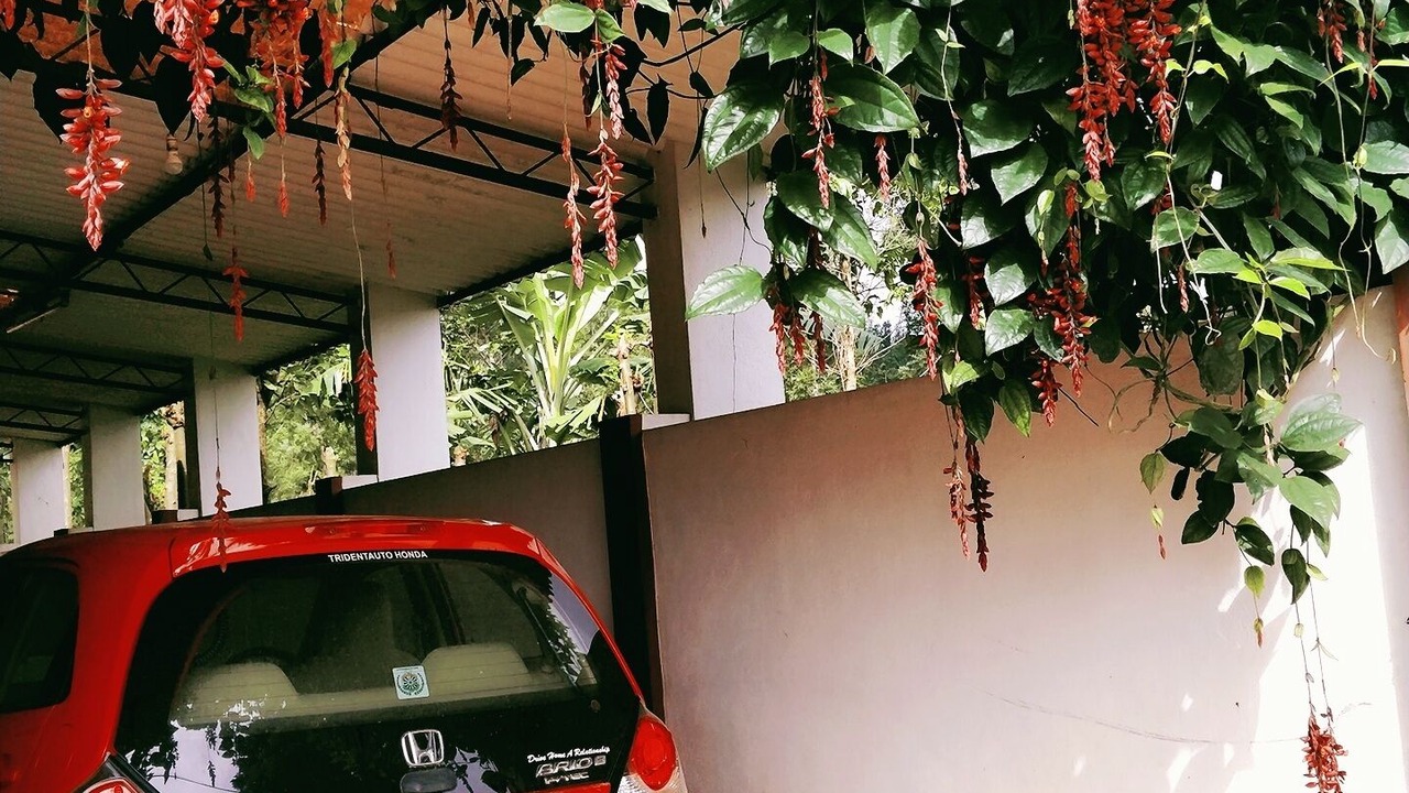 Photo of Outdoor in Chikkamagaluru