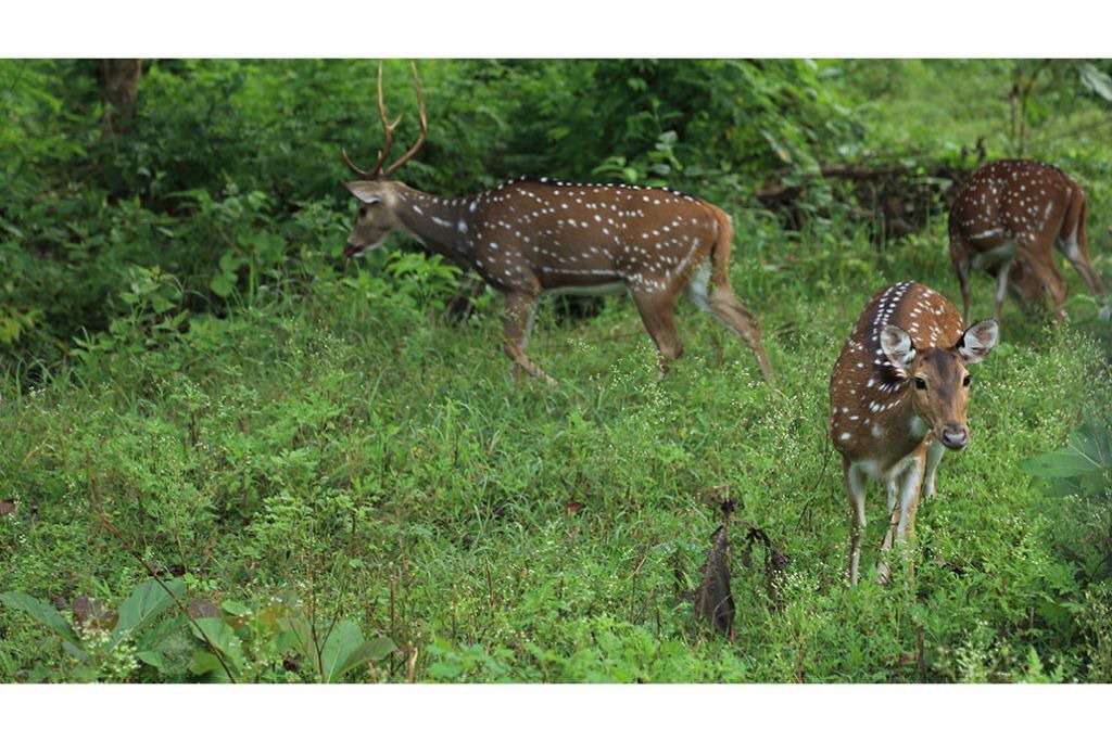 Photo of Outdoor in Kattikkulam