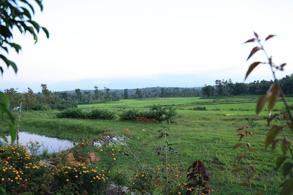 Photo of Outdoor in Kattikkulam