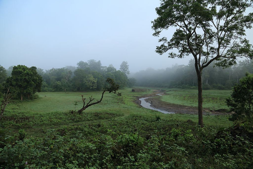 Photo of Others in Kattikkulam