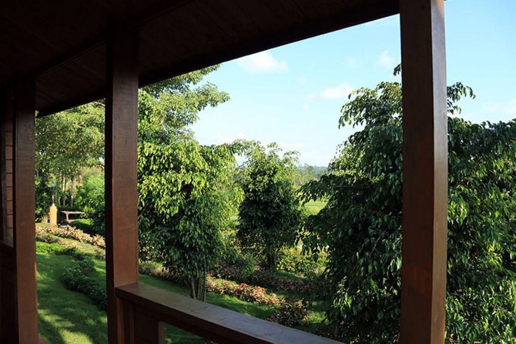 Photo of Outdoor in Kattikkulam