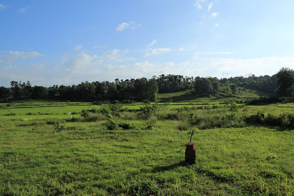 Photo of Others in Kattikkulam