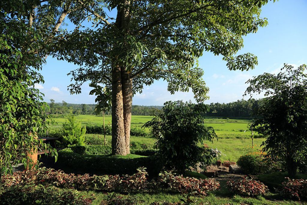 Photo of Outdoor in Kattikkulam