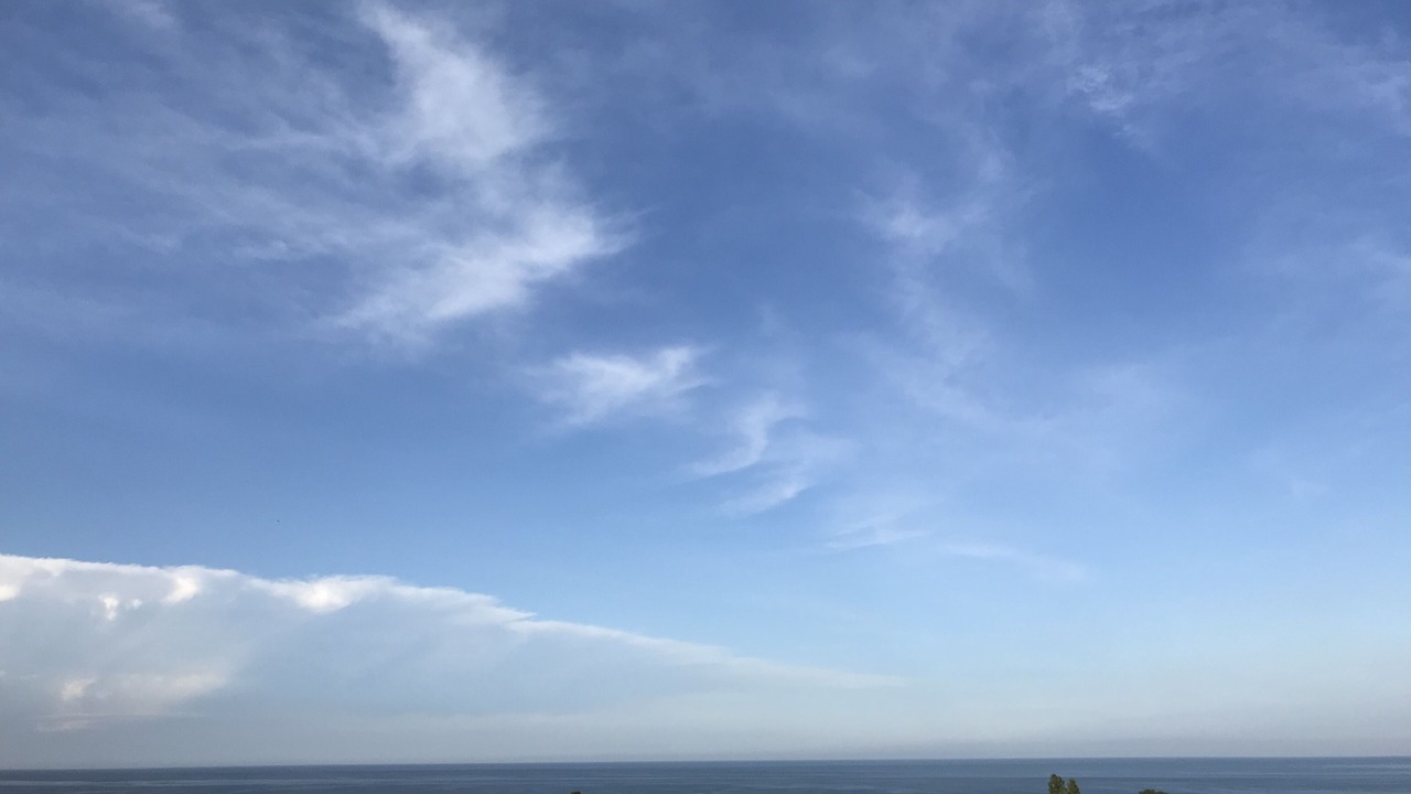 Photo of Others in Jupiter