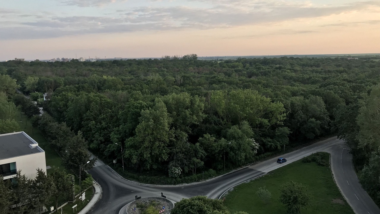 Photo of Outdoor in Jupiter