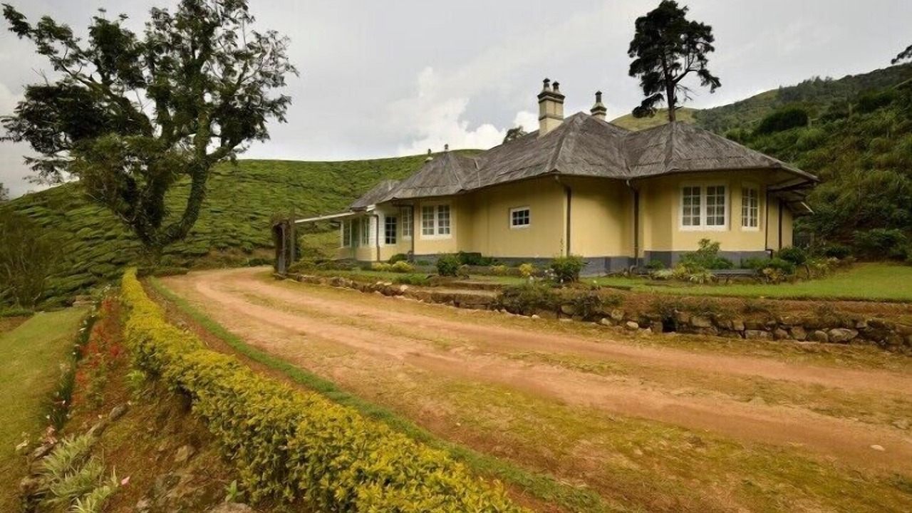 Photo of Outdoor in Munnar
