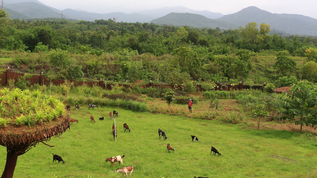 Photo of Outdoor in Chorla Ghats