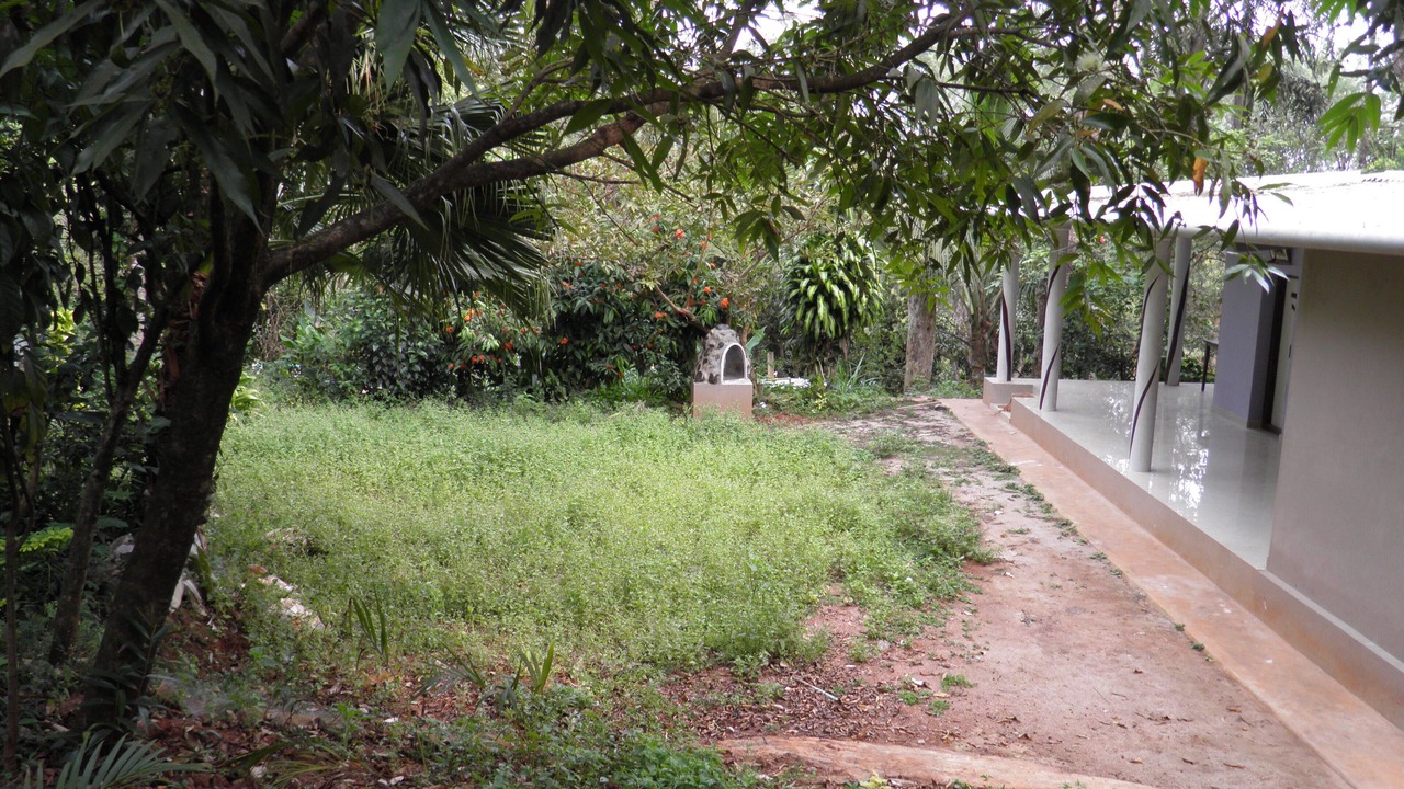 Photo of Outdoor in Somvarpet