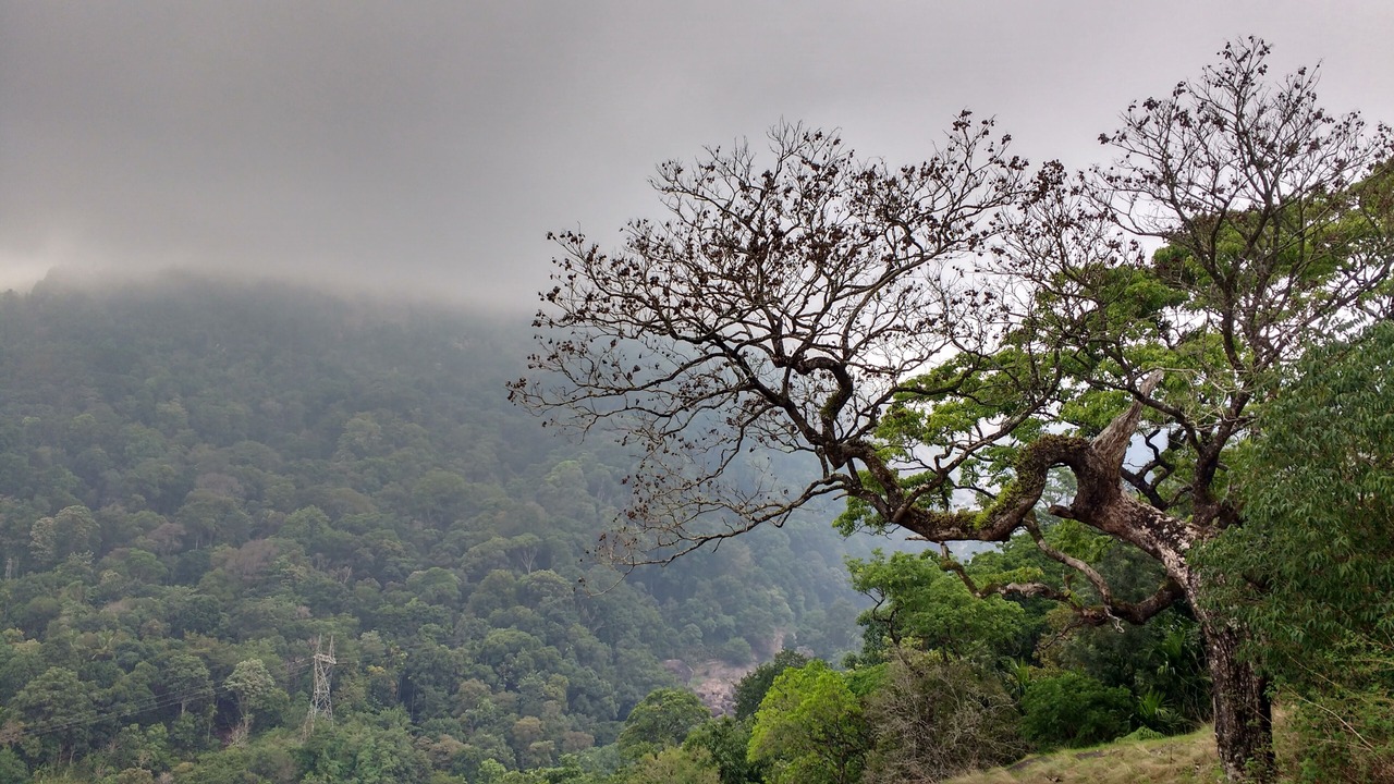 Photo of Outdoor in Devikolam