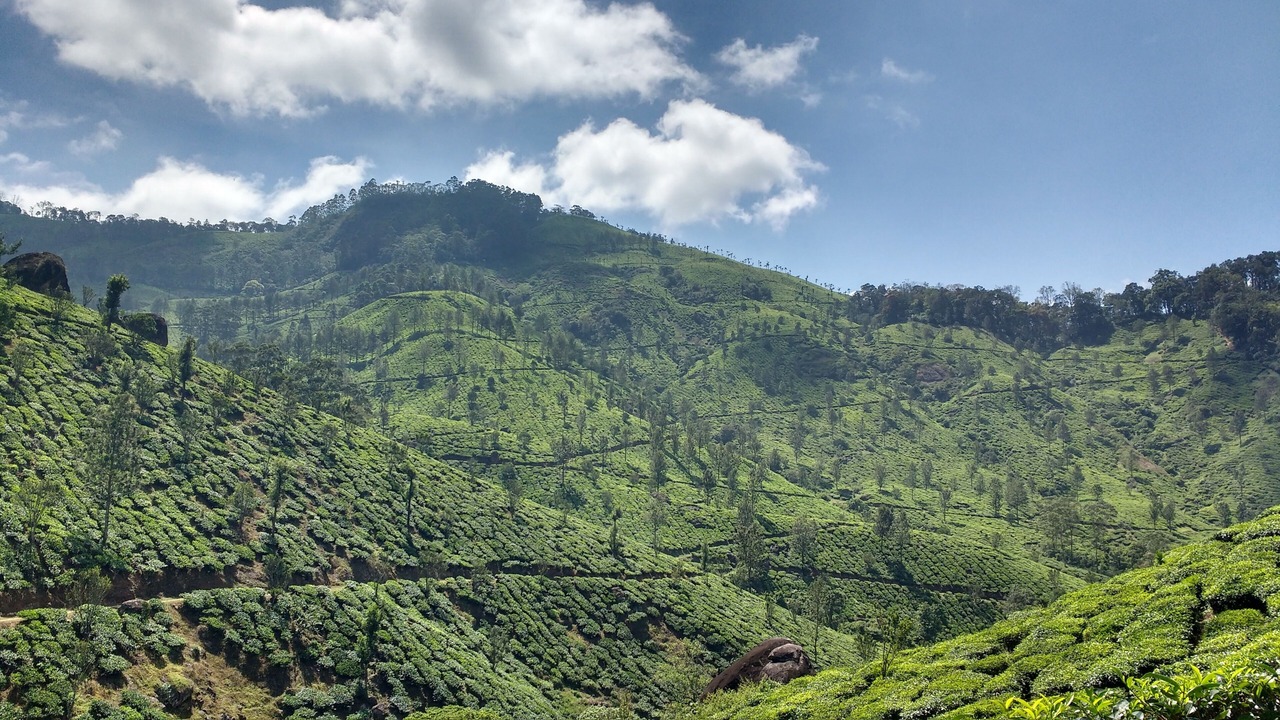 Photo of Outdoor in Devikolam