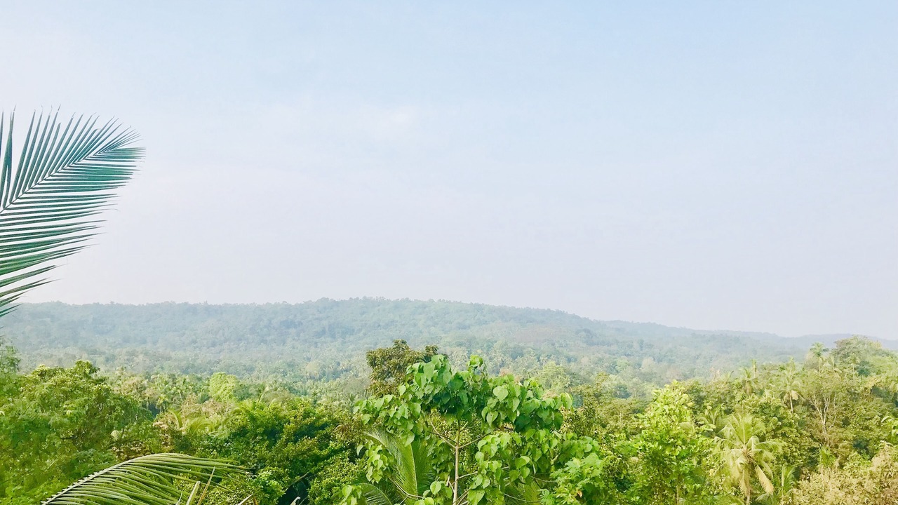 Photo of Others in Thalassery