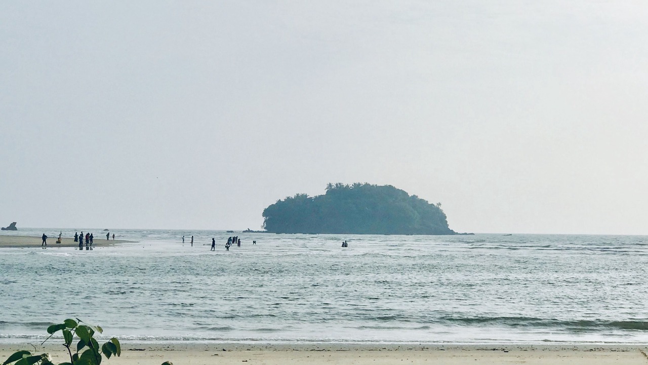 Photo of Others in Thalassery