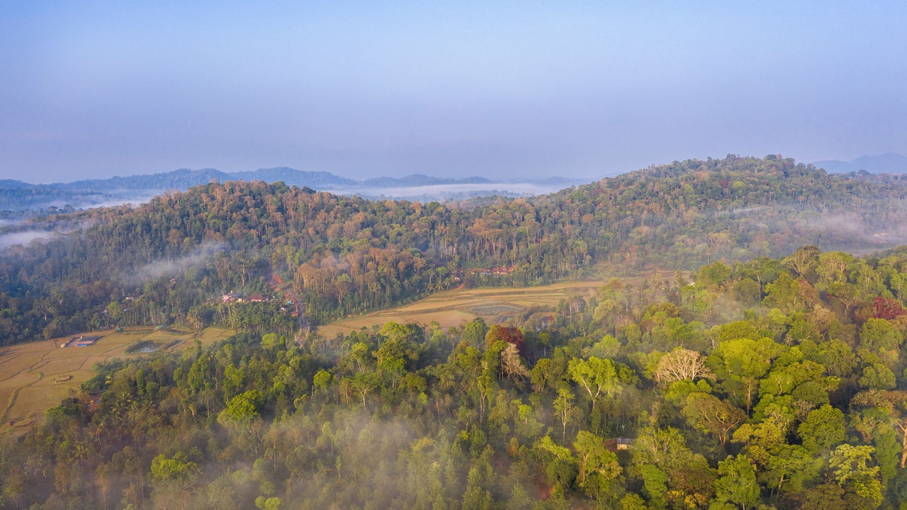 Photo of Outdoor in Madikeri