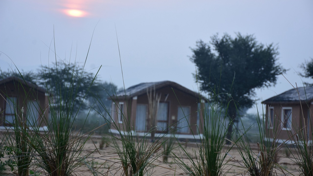 Photo of Outdoor in Village Hokra