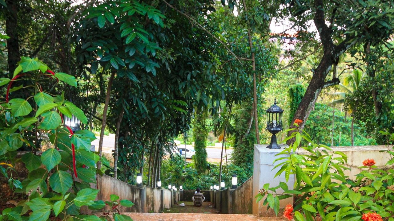 Photo of Outdoor in Anchal