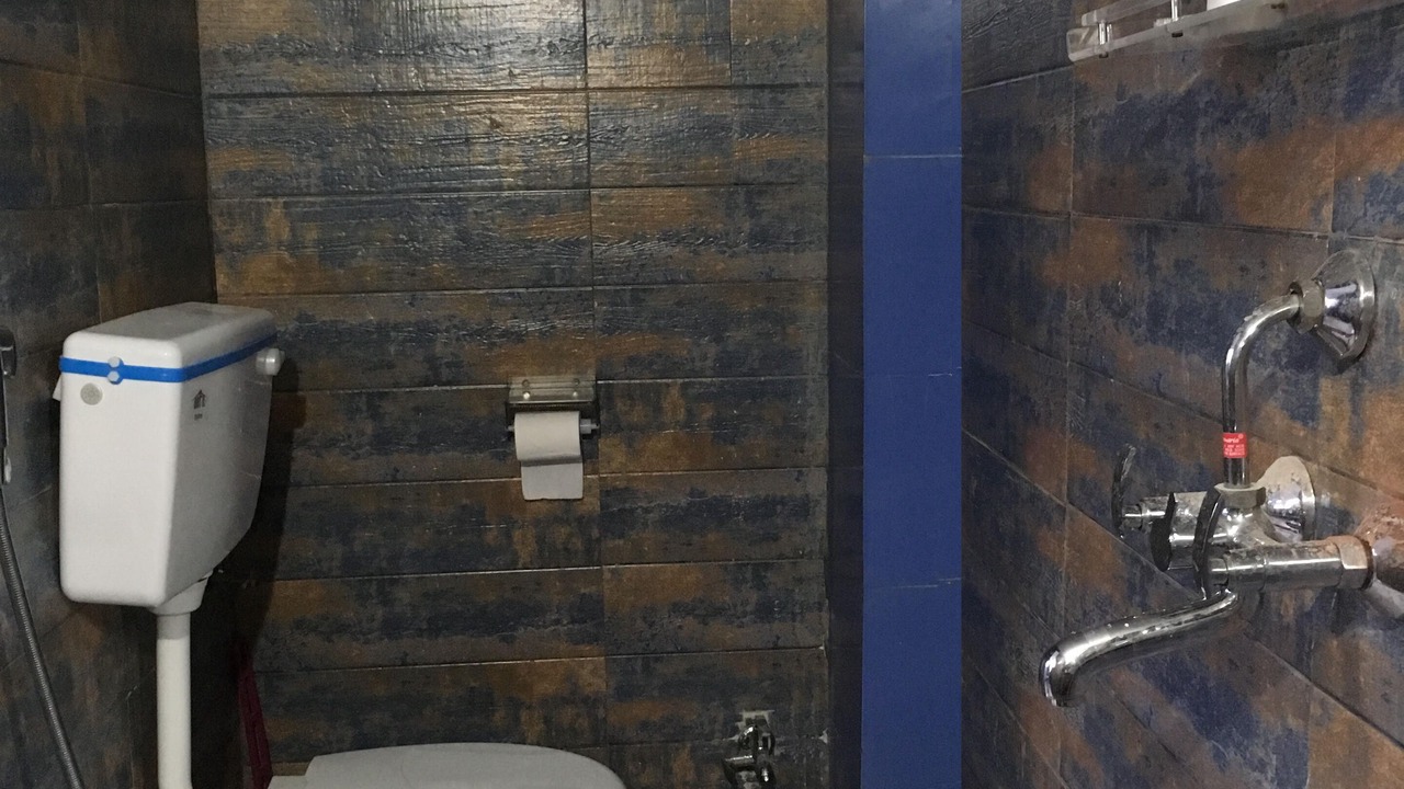 Photo of Bathroom in Bedla
