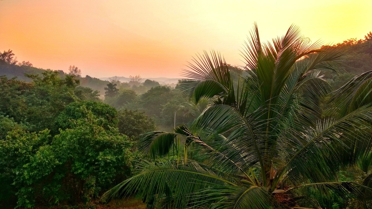 Photo of Outdoor in Gavhe