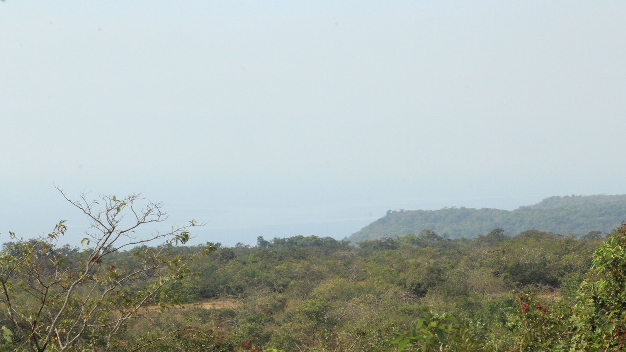 Photo of Others in Gavhe