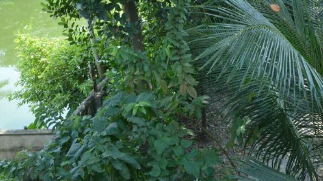 Photo of Outdoor in Chandannagar