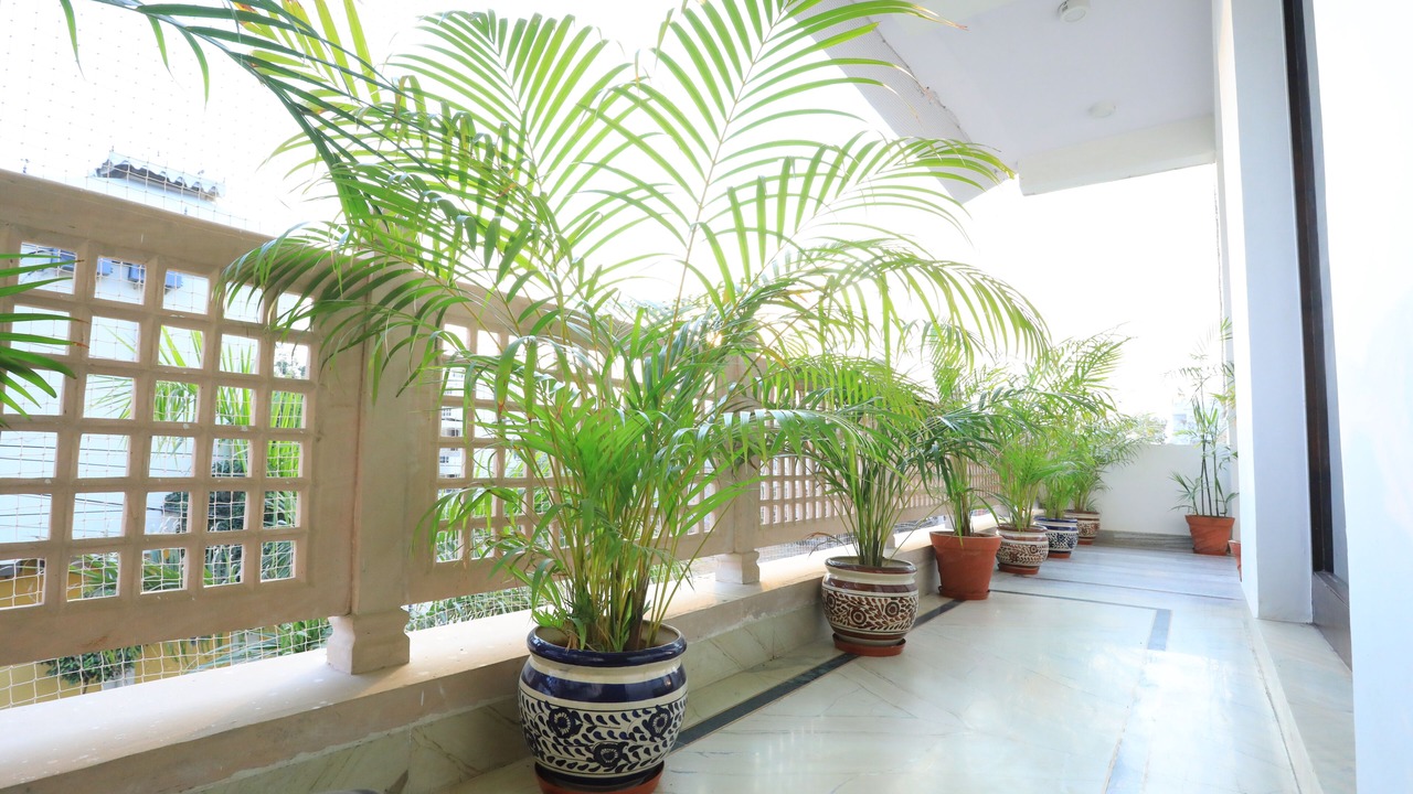 Photo of Patio Balcony in Jaipur