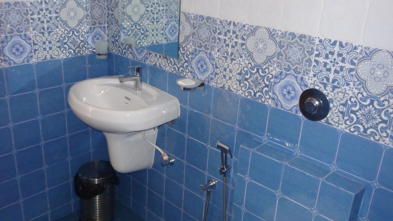 Photo of Bathroom in Canacona