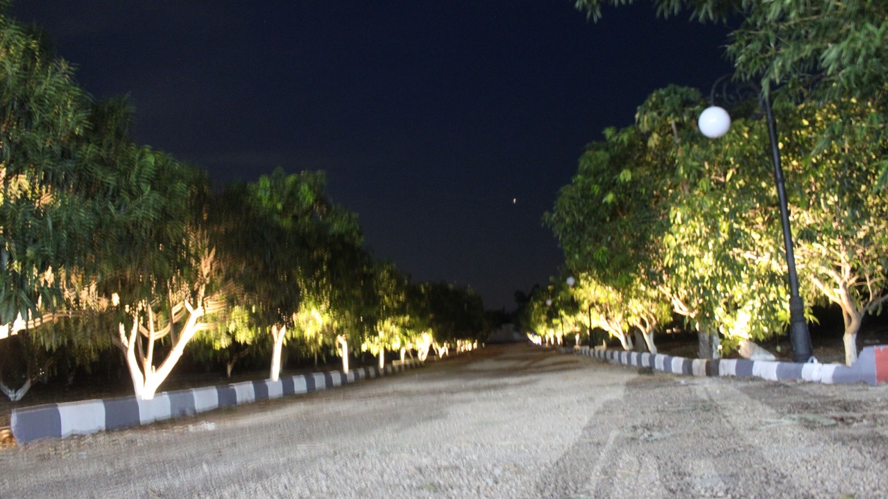 Photo of Others in Chevella