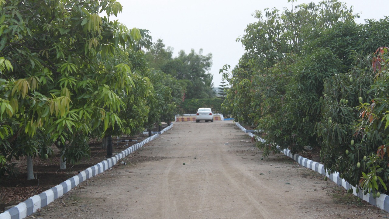 Photo of Outdoor in Chevella
