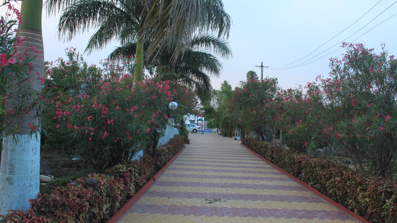 Photo of Outdoor in Chevella