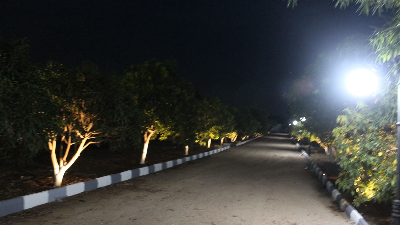 Photo of Outdoor in Chevella