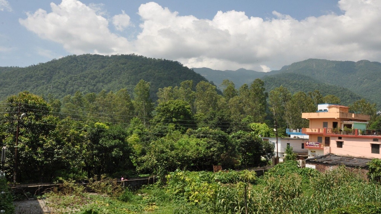 Photo of Others in Rishikesh