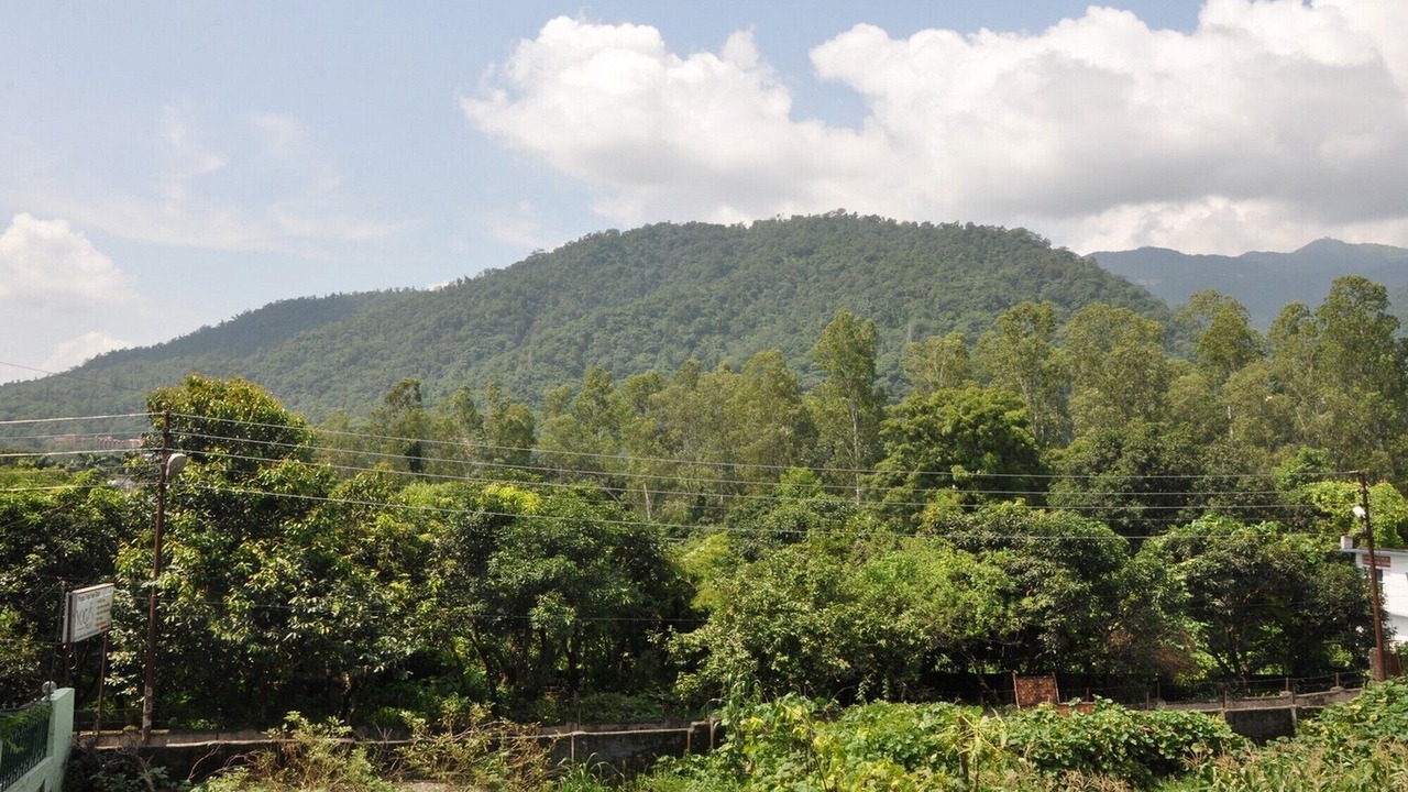 Photo of Outdoor in Rishikesh