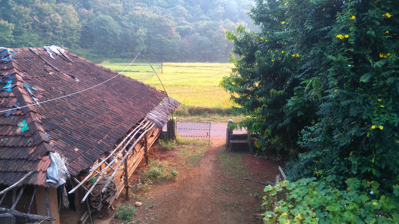 Photo of Outdoor in Dapoli