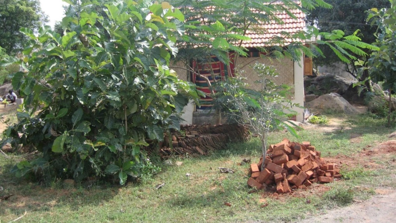 Photo of Outdoor in Tiruvannamalai