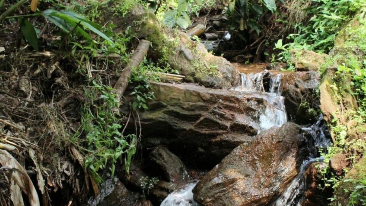Photo of Outdoor in Chikkamagaluru