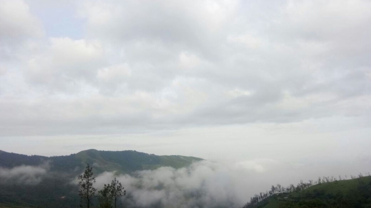 Photo of Others in Chikkamagaluru