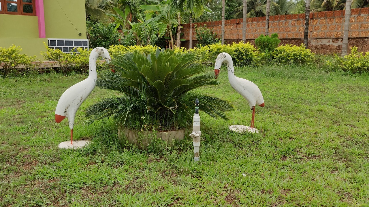 Photo of Outdoor in Kundapur