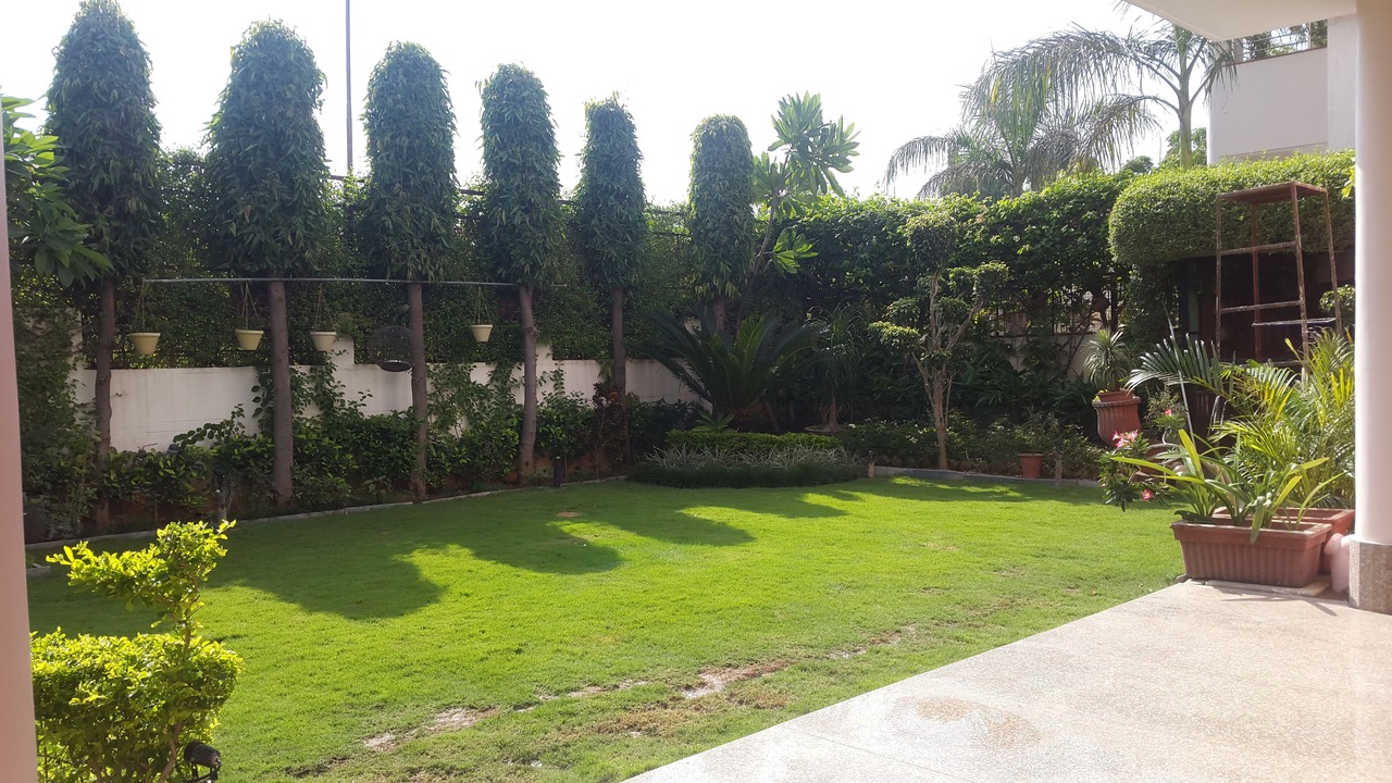 Photo of Outdoor in Jaipur