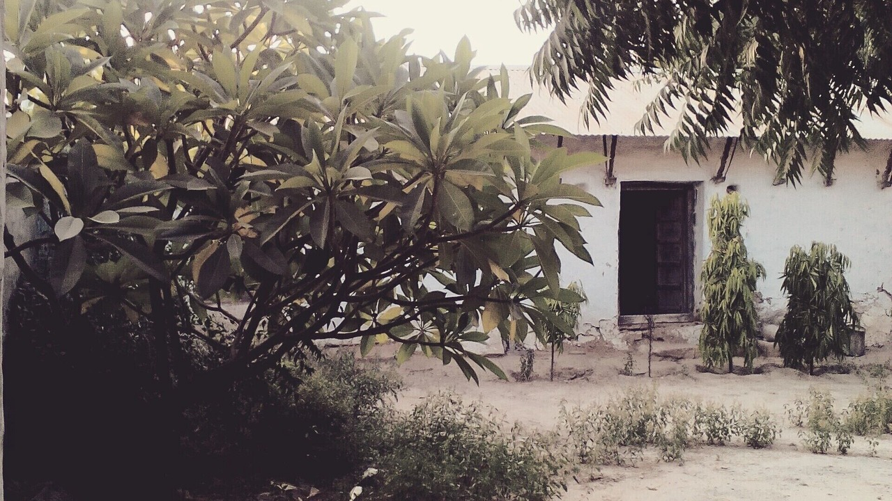 Photo of Outdoor in Rohet