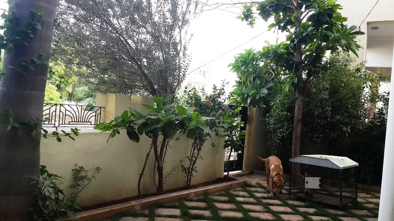 Photo of Outdoor in Udaipur
