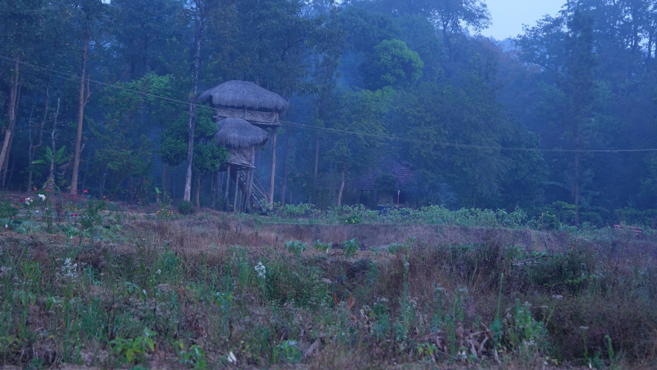 Photo of Outdoor in Kaimane