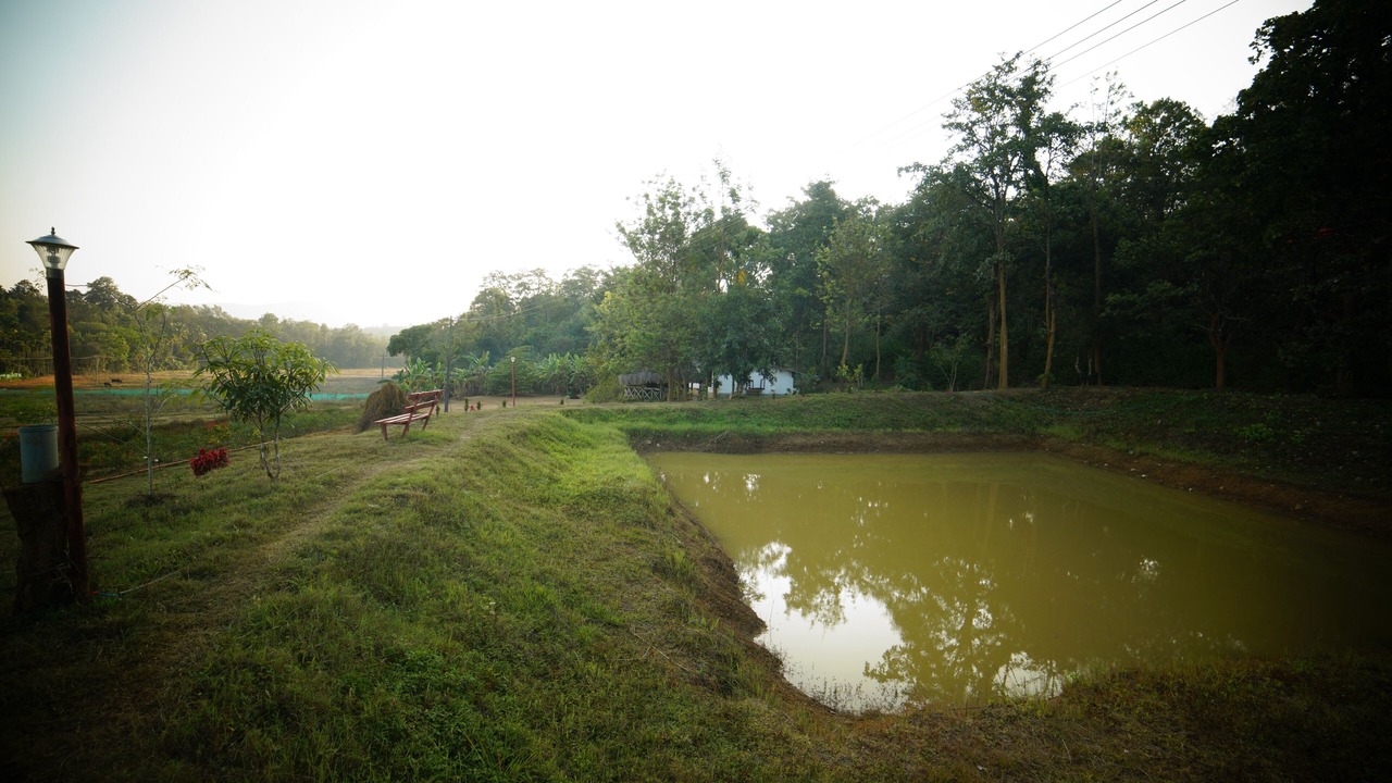 Photo of Outdoor in Kaimane