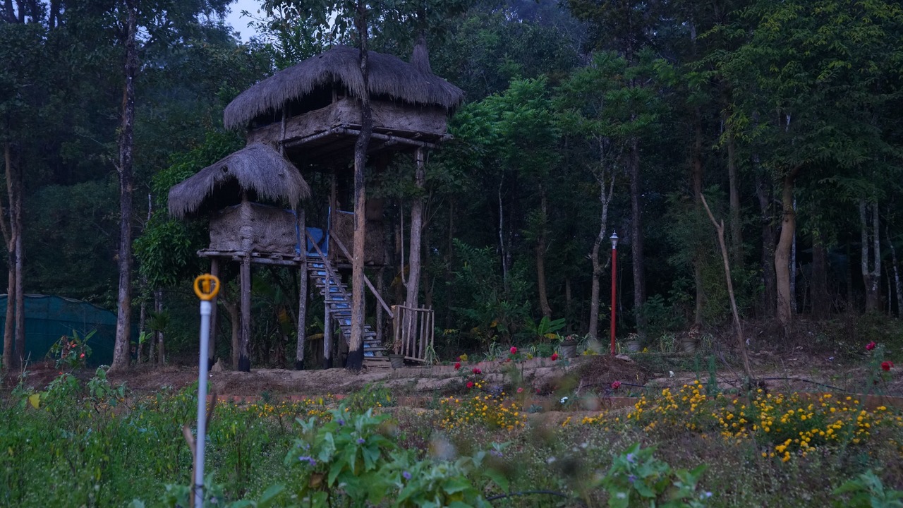 Photo of Outdoor in Kaimane